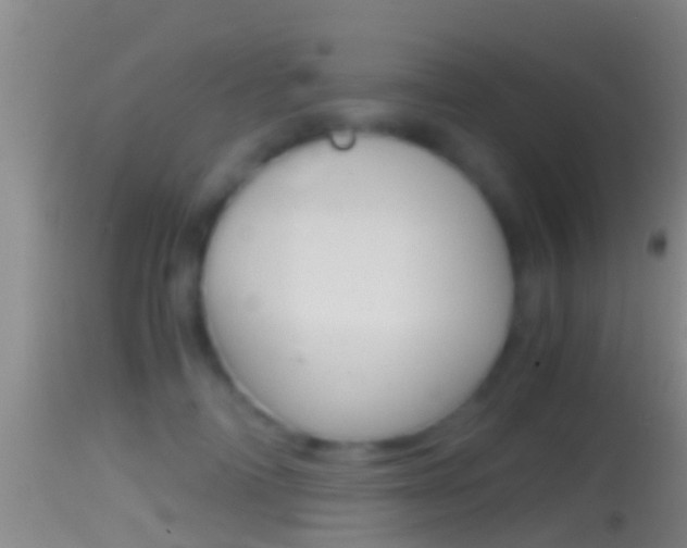 X0000114390698200910161032