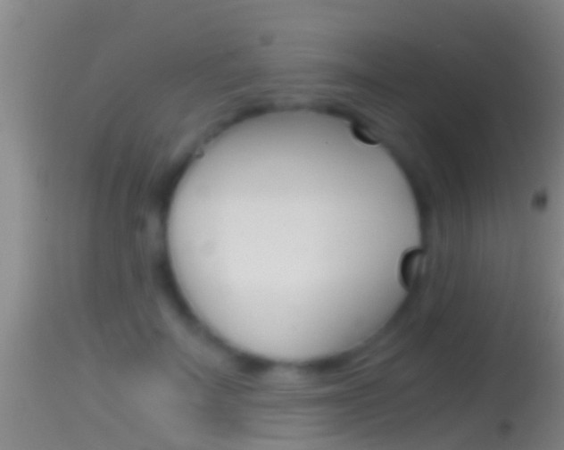 X0000114390699200910161032