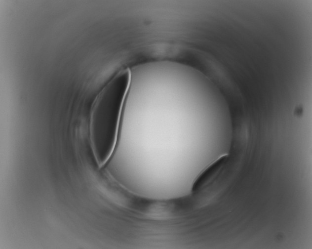 X0000114390700200910161032