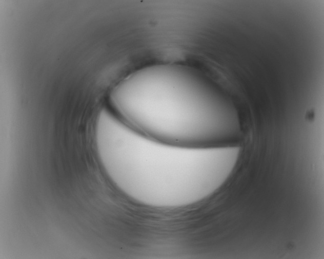 X0000114390704200910161032