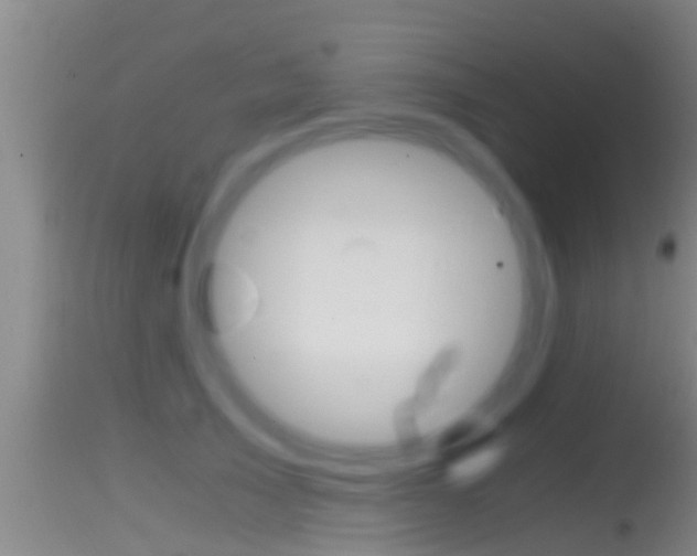 X0000114390705200910161032