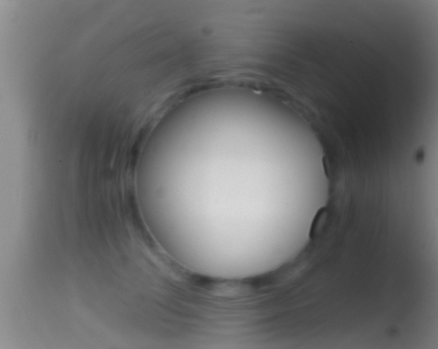 X0000114390708200910161032