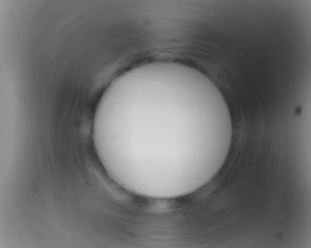 X0000114390710200910161032