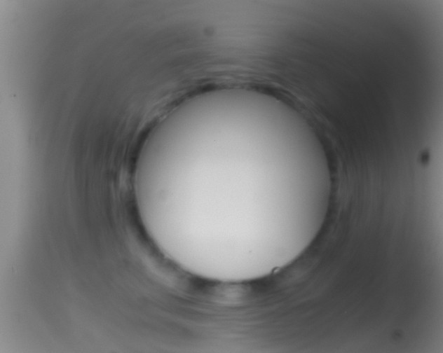 X0000114390711200910161032