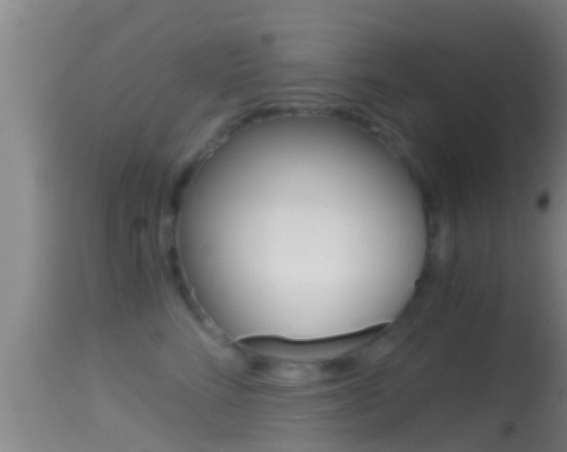 X0000114390712200910161032