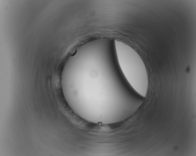 X0000114390715200910161032