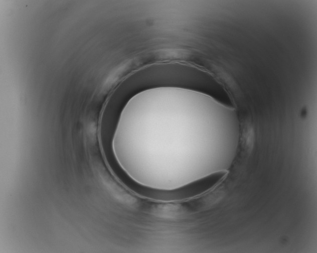X0000114390716200910161032