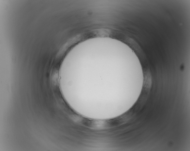 X0000114390717200910161032