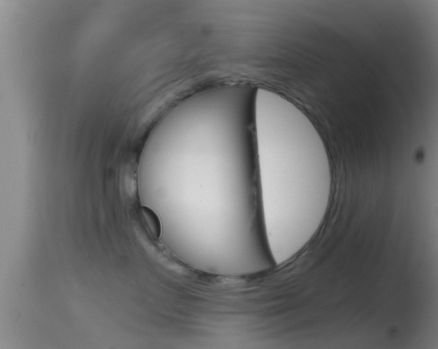 X0000114390719200910161032