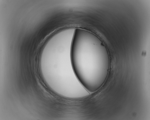 X0000114390722200910161032