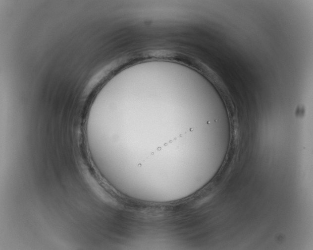 X0000114390725200910161032