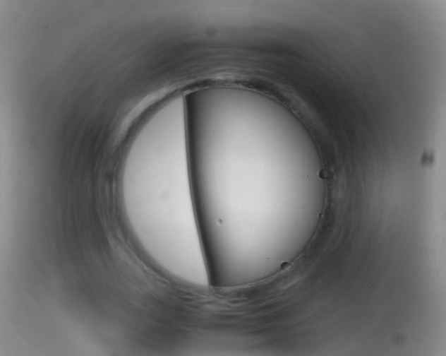 X0000114390727200910161032