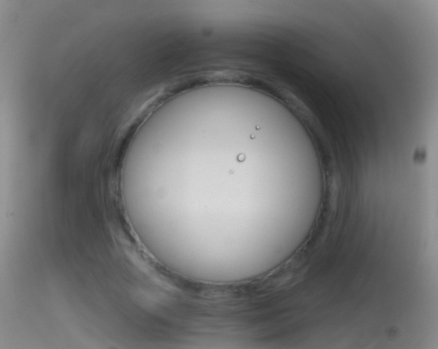 X0000114390729200910161032