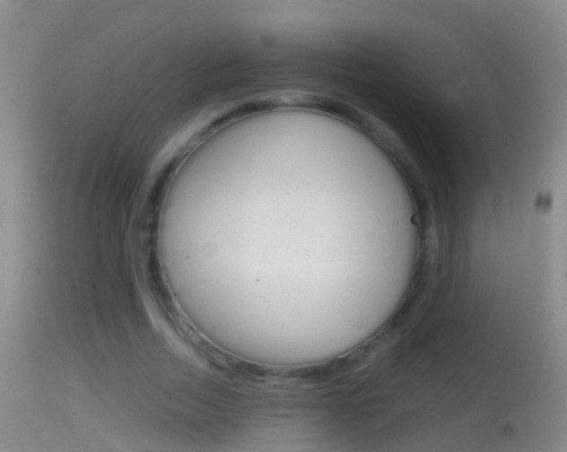 X0000114390730200910161032
