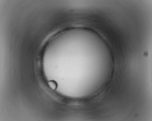 X0000114390731200910161032