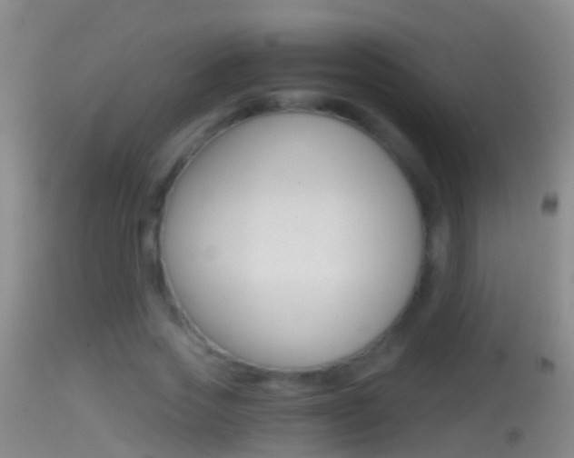 X0000114390733200910161032