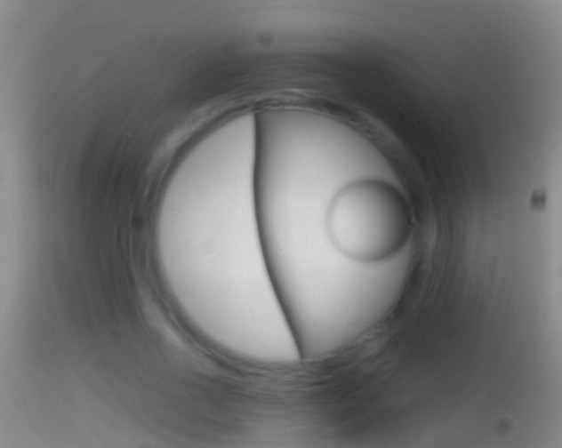 X0000114390734200910161032