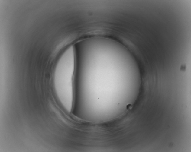 X0000114390735200910161032