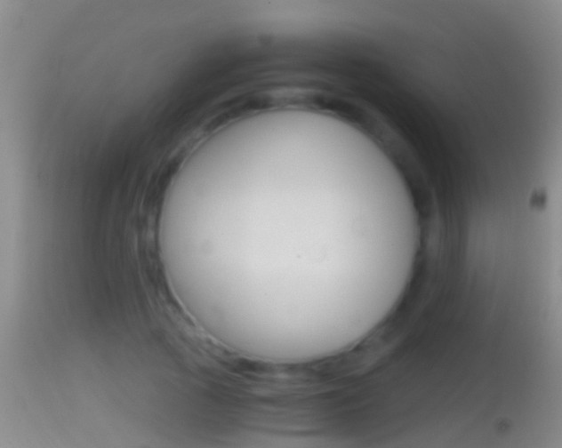 X0000114390737200910161032