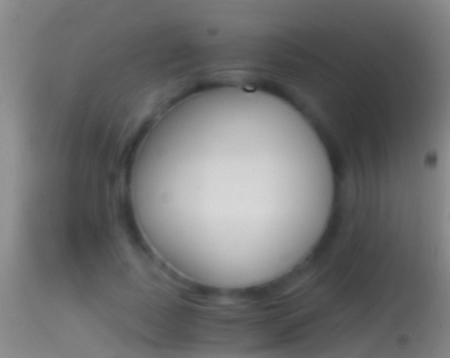 X0000114390739200910161032