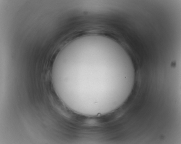 X0000114390741200910161032
