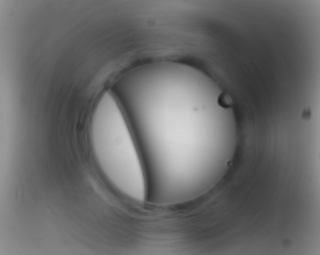 X0000114390742200910161032