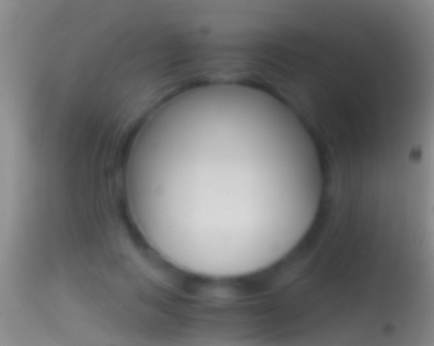X0000114390743200910161032