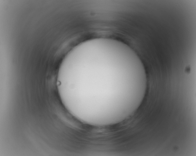 X0000114390745200910161032