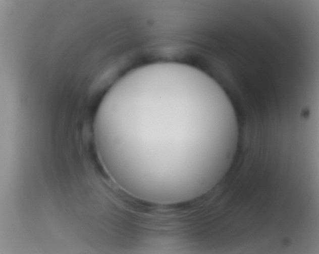 X0000114390746200910161032