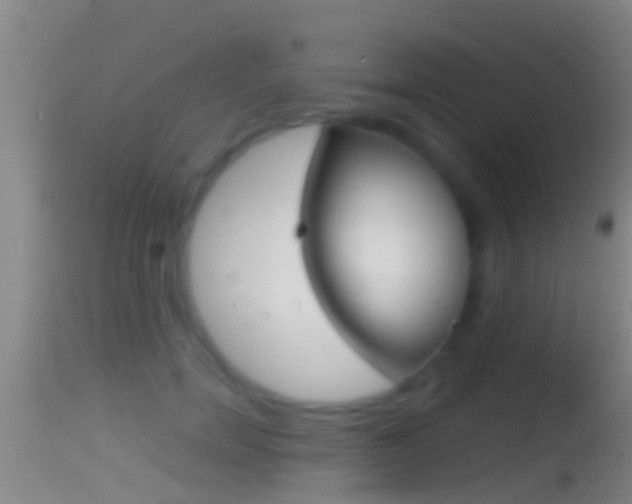 X0000114390750200910161032