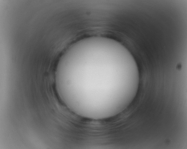 X0000114390751200910161032