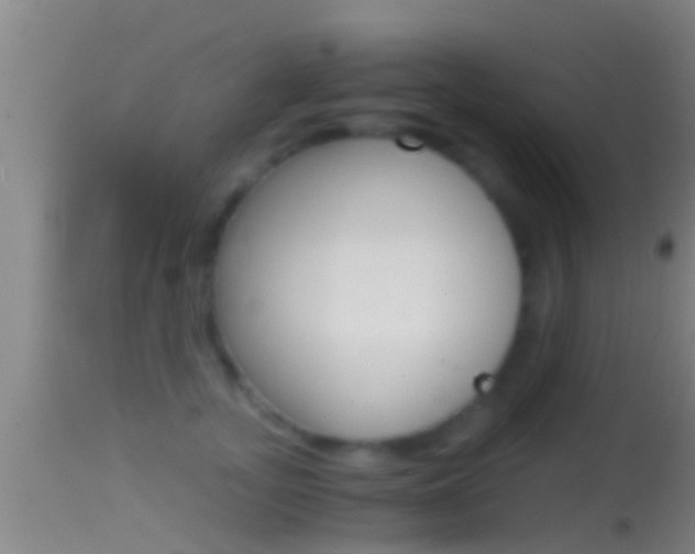 X0000114390755200910161032