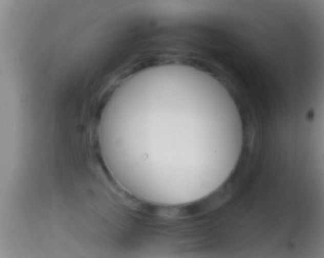 X0000114390757200910161032