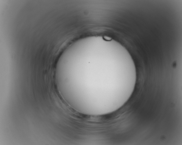 X0000114390758200910161032