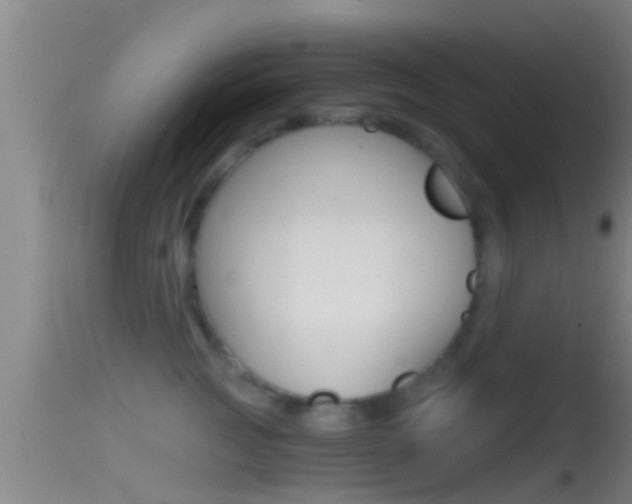 X0000114390761200910161032