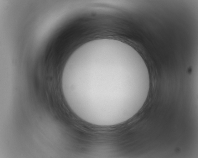 X0000114390762200910161032