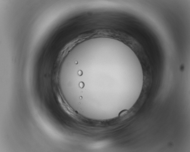 X0000114390765200910161032
