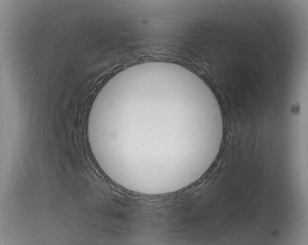 X0000114390769200910161031