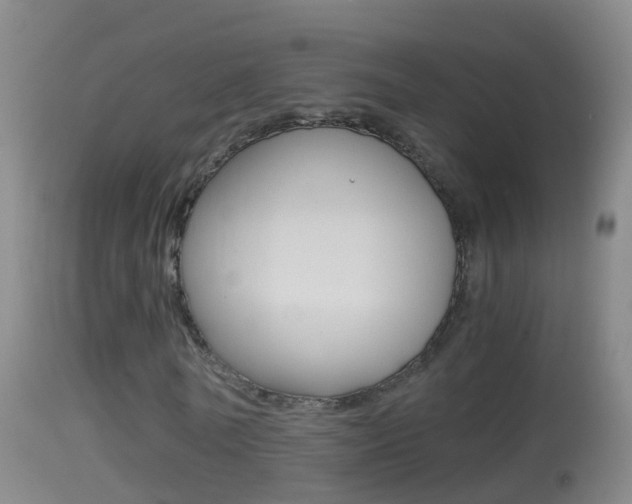 X0000114390770200910161031