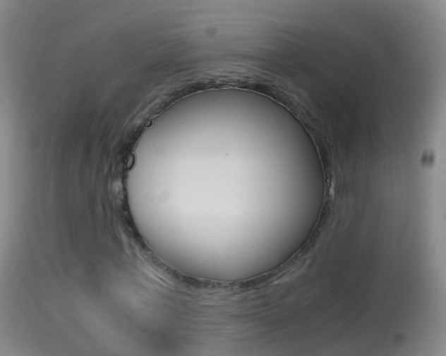 X0000114390771200910161031