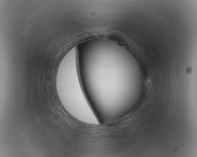 X0000114390772200910161031