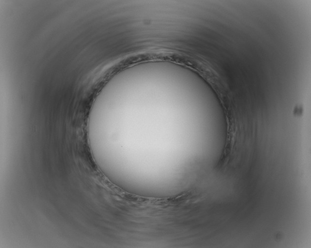X0000114390773200910161031