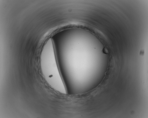 X0000114390776200910161031