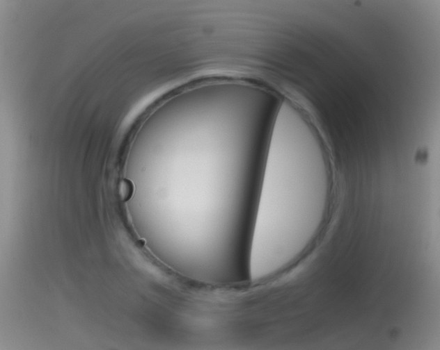 X0000114390779200910161031