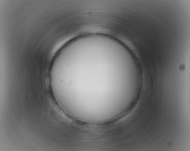 X0000114390782200910161031