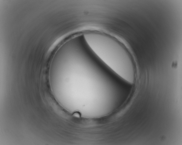 X0000114390783200910161031