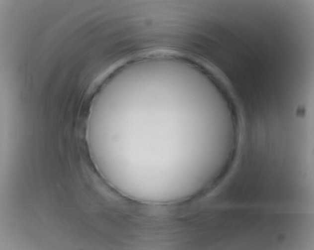 X0000114390785200910161031