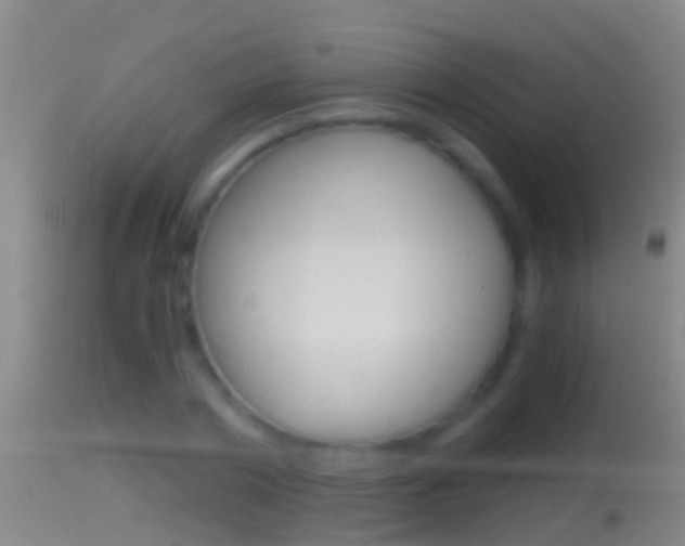 X0000114390786200910161031