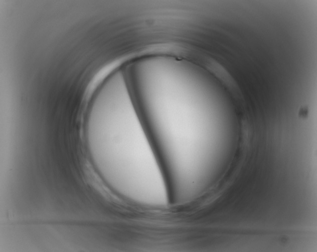 X0000114390788200910161031