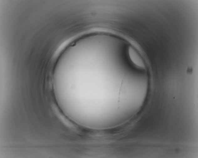 X0000114390791200910161031